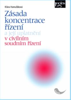 Kniha: Zásada koncentrace řízení - Klára Hamuľáková