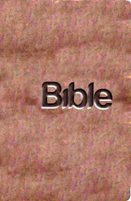 BIBLE překlad 21. století - hnědá
