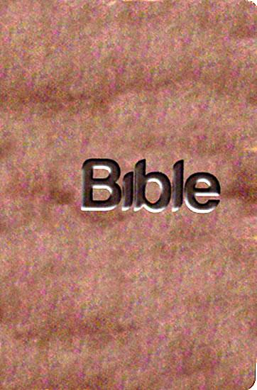Kniha: BIBLE překlad 21. století - hnědáautor neuvedený