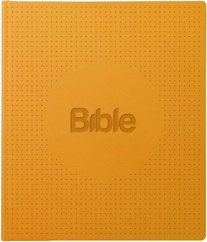 Kniha: Bible21 ilumina - Flek Alexandr