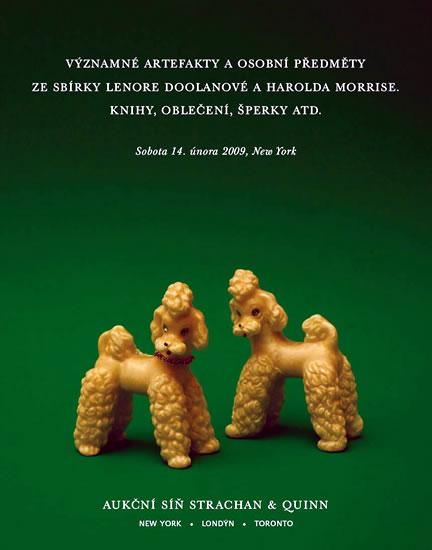 Kniha: Významné artefakty a osobní předměty ze sbírky Lenore Doolanové a Harolda Morrise. Knihy, oblečení, šperky atd. - Shapton Leanne