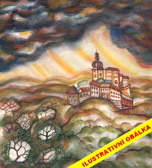Kniha: O dešťovém kameni - Stránský Jiří