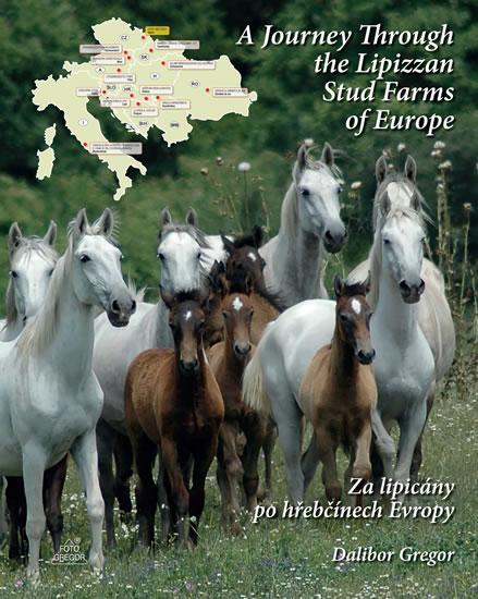 Kniha: Za lipicány po hřebčínech Evropy / A Journey Through the Lipizzan Stud Farms of Europe - Gregor Dalibor