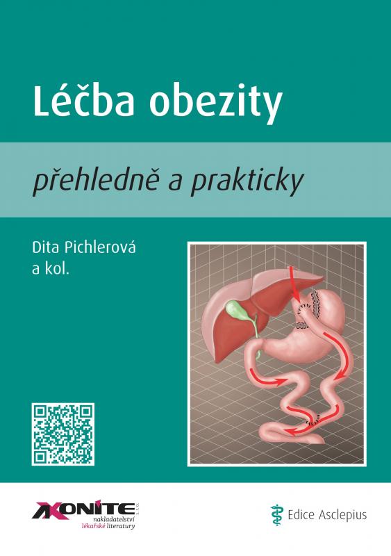 Kniha: Léčba obezity - Dita Pichlerová