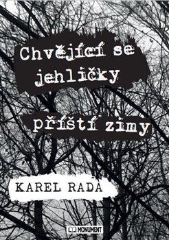 Kniha: Chvějící se jehličky příští zimy - Rada, Karel