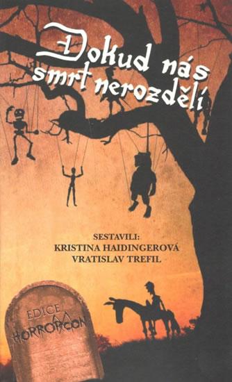 Kniha: Dokud nás smrt nerozdělí - Haidingerová Kristina