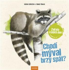 Chodí mýval brzy spát? - Zvířata a jejic