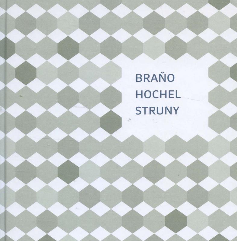 Kniha: Struny - Braňo Hochel
