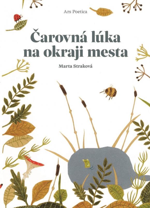 Kniha: Čarovná lúka na okraji mesta - Marta Straková