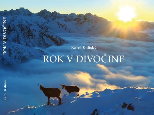 Kniha: Rok v divočine - Karol Kaliský