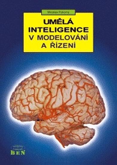 Kniha: Umělá inteligence v modelování a řízení - Pokorný Miroslav
