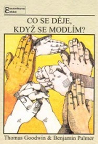 Kniha: Co se děje, když se modlím? - Goodwin, B.Palmer T.