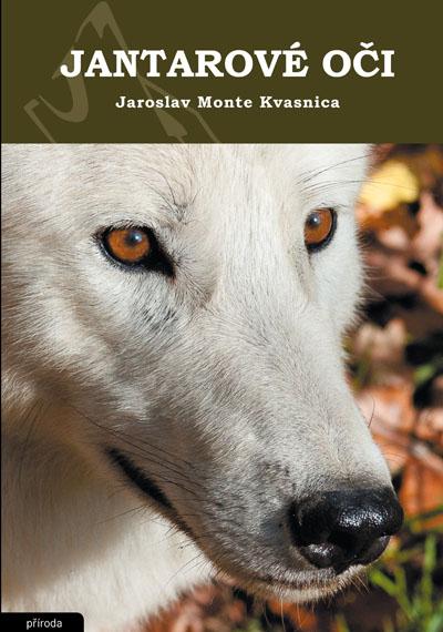 Kniha: Jantarové oči - Jaroslav Monte Kvasnica
