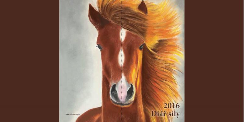 Kniha: Diář síly 2016 - Kůň - Kolouchová Květoslava