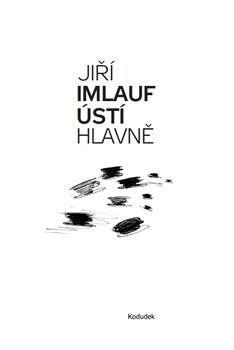 Kniha: Ústí hlavně - Jiří Imlauf