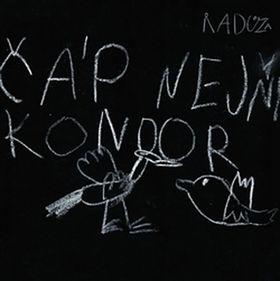 Kniha: Čáp nejni kondor - Radůza