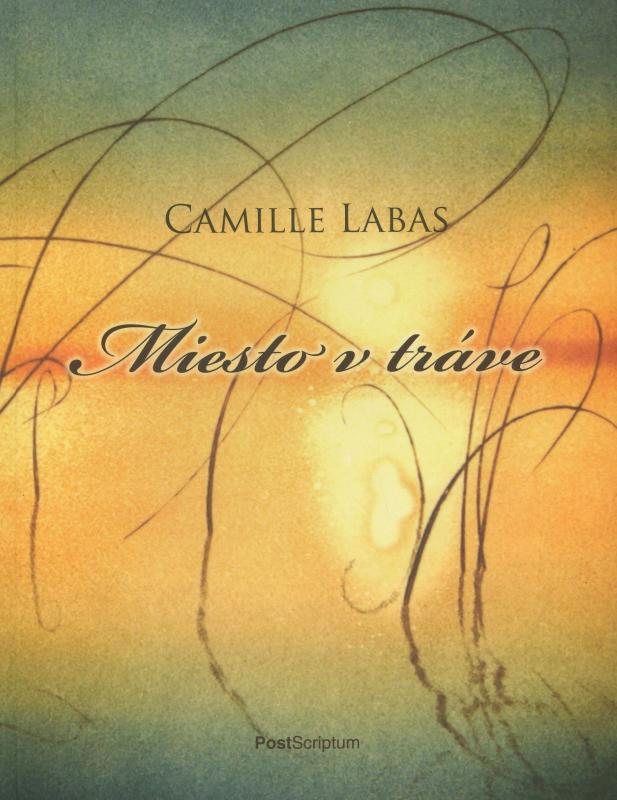 Kniha: Miesto v tráve - Camille Labas