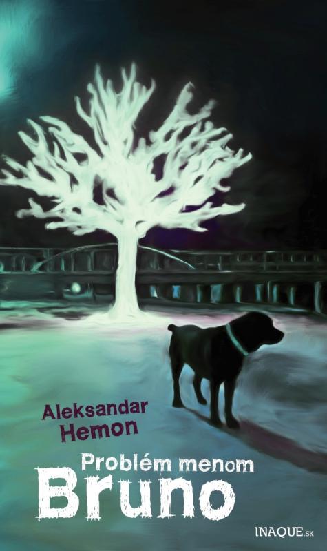 Kniha: Problém menom Bruno - Aleksandar Hemon