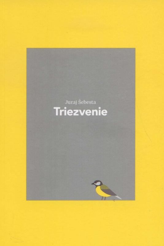 Kniha: Triezvenie - Juraj Šebesta