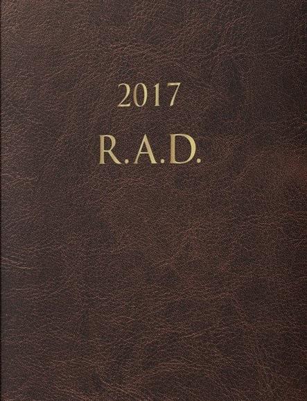 Kniha: Diár úspechu 2017 - R.A.D - Andy Winson