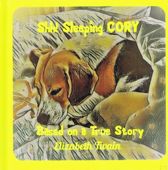 Kniha: Shh! Sleeping CORY - Based on a True Story - Twain Elizabeth