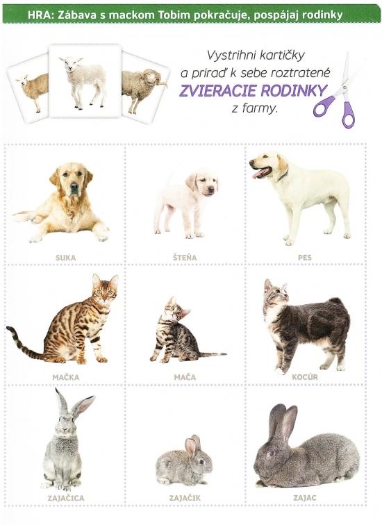 Kniha: Zvieracie rodinky, 3. vyd. - Kabátová Petra