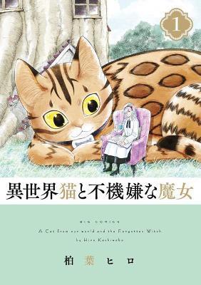 Kniha: A Cat from Our World and the Forgotten Witch 1 - Kashiwaba Hiro