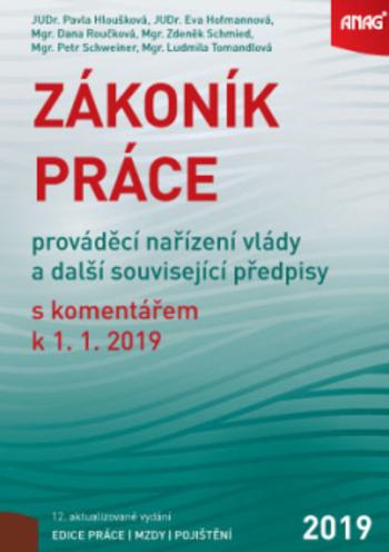 Kniha: Zákoník práce, prováděcí nařízení vlády a další související předpisy s komentářem 2019 - Pavla Hloušková