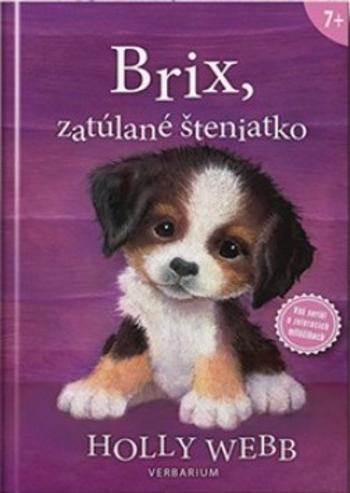 Kniha: Brix, zatúlané šteniatko - Holly Webb